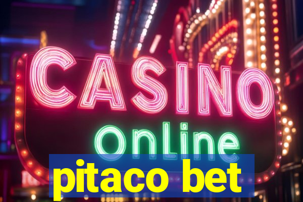 pitaco bet